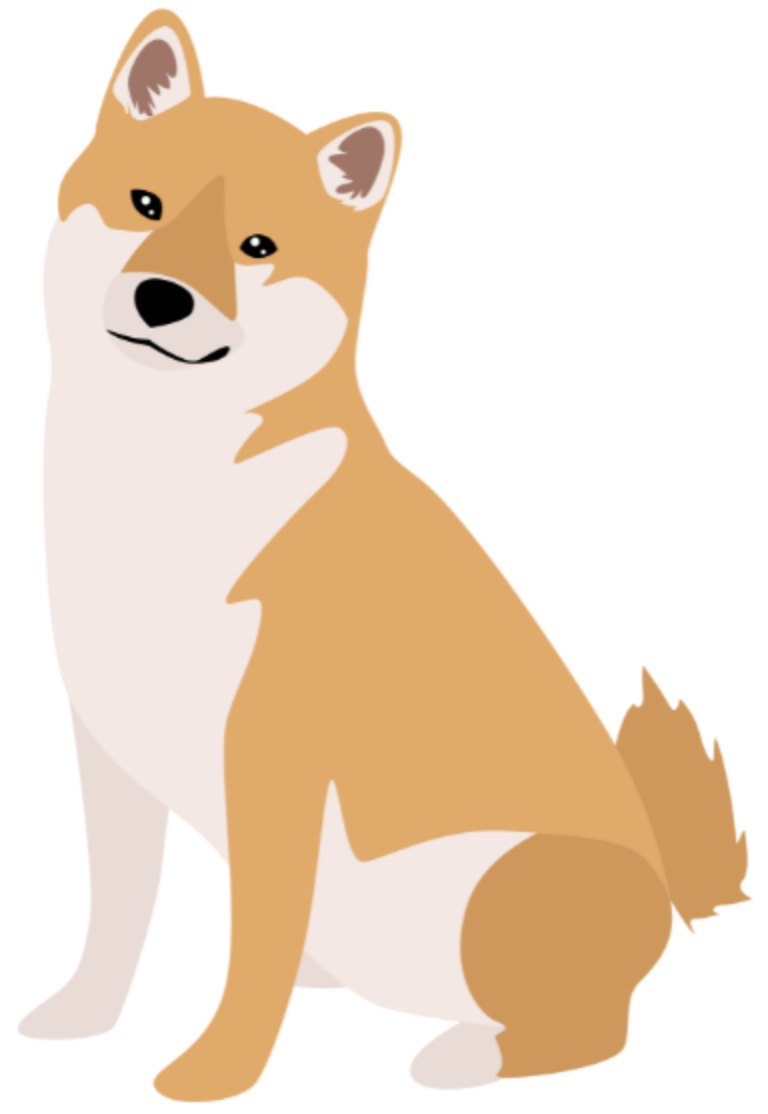 犬のトレーニングとして様々なお悩みに対応