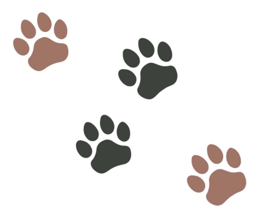犬のトレーニングとして様々なお悩みに対応