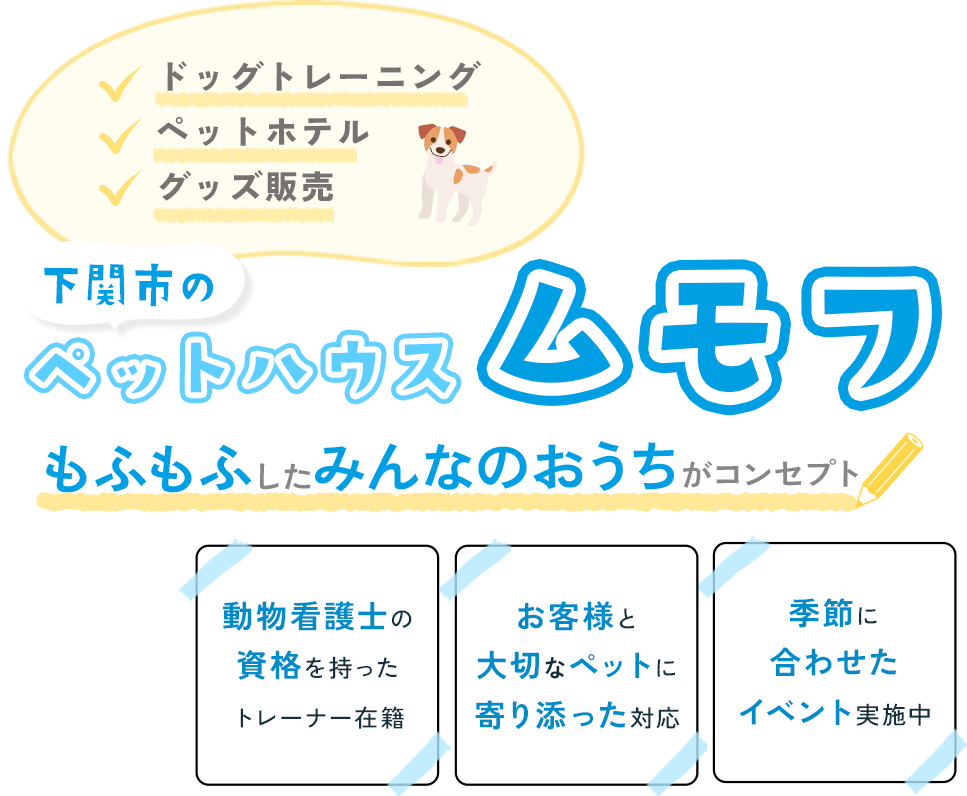 mv_sp