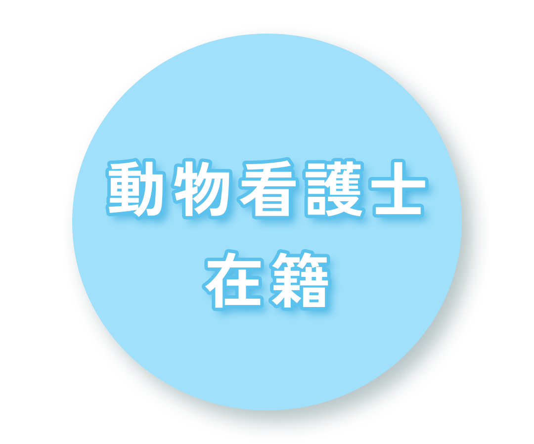 cv_lefticon