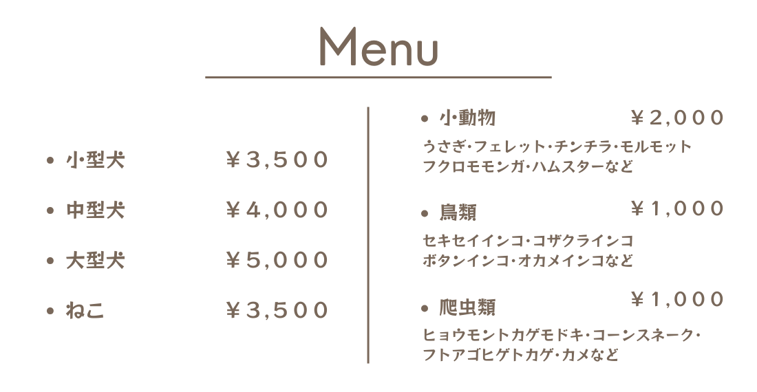 ダウンロード