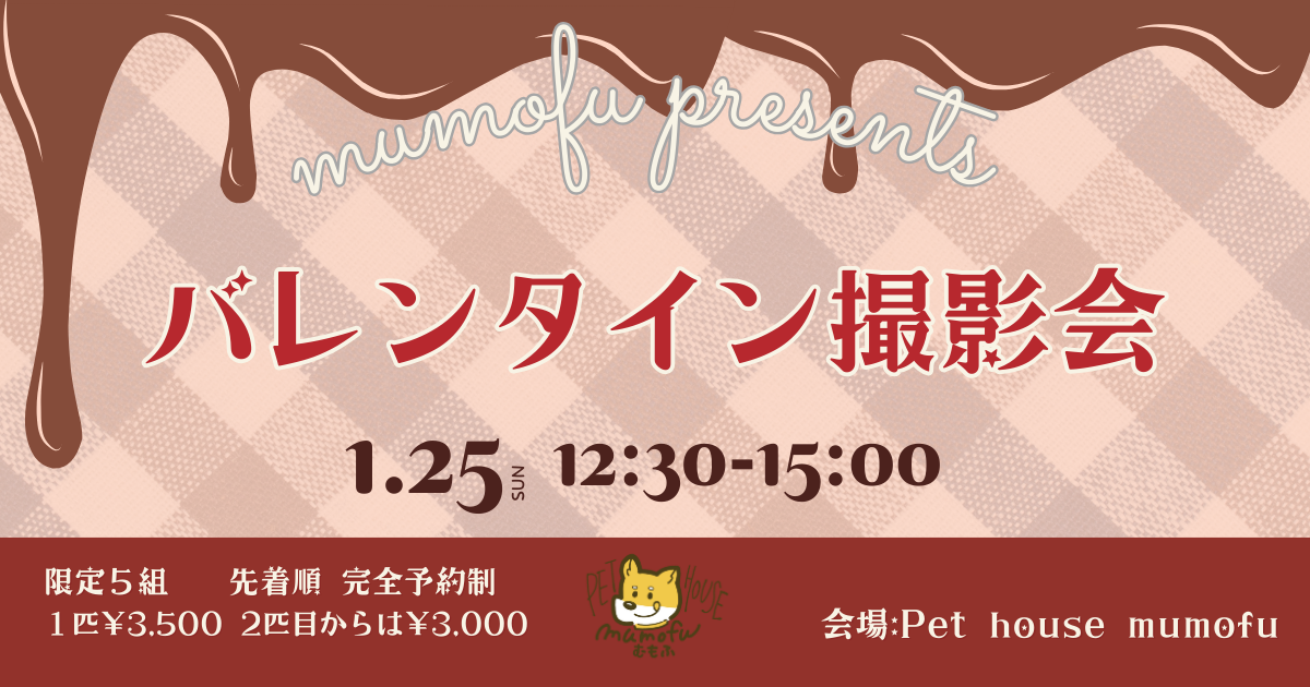 1月のイベントのお知らせ |　Pet house mumofu