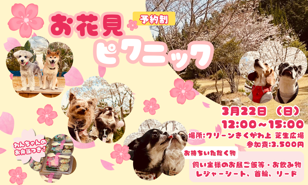 3月のイベントのお知らせ |　Pet House mumofu