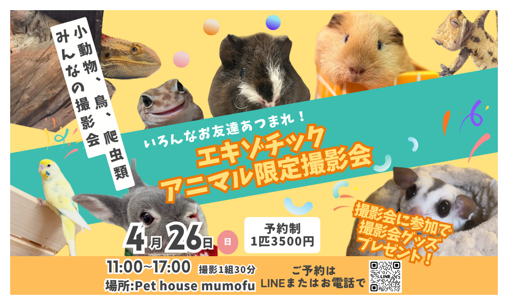 4月のイベントのお知らせ |　Pet House mumofu